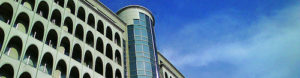 cropped-chukyo1